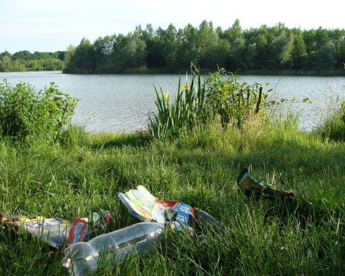 Müll am See