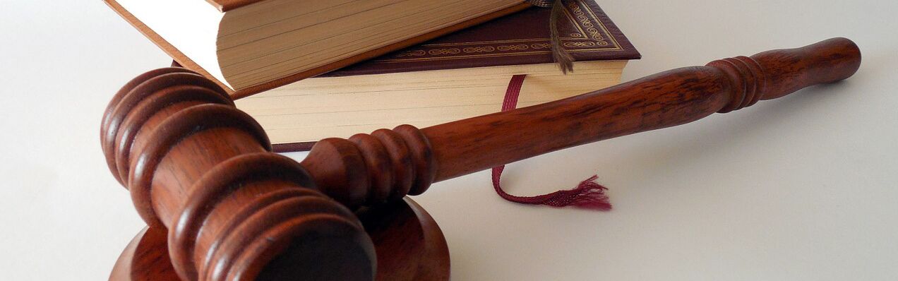 Gesetze und Richtlinien Holzhammer und Buch